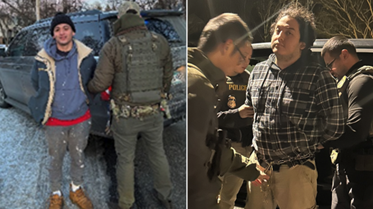 Trump's ICE arrests child sex offenders among more than 530 illegal immigrants caught in one day