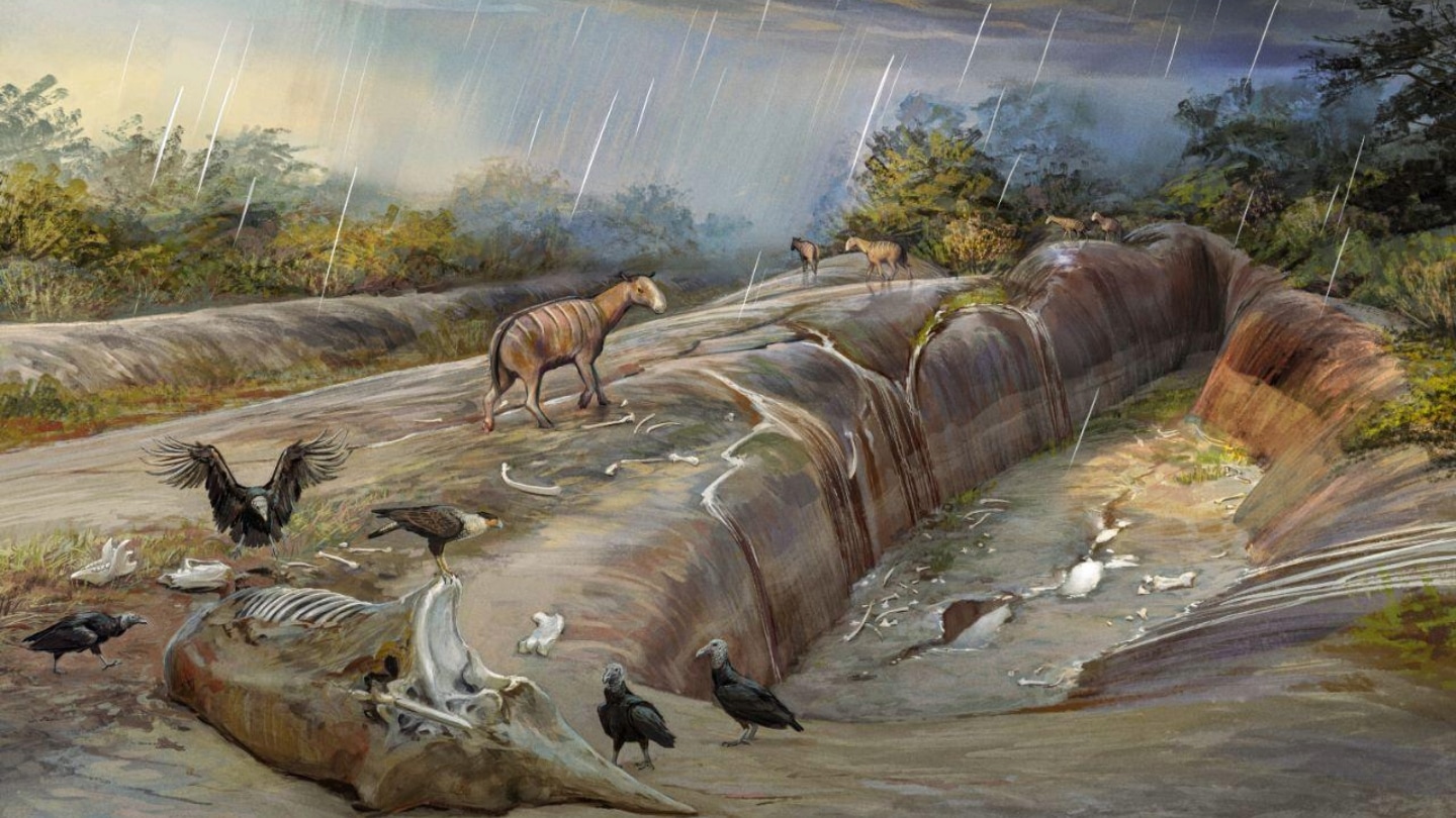 Huge camels like a deviate living for thousands of years longer than once