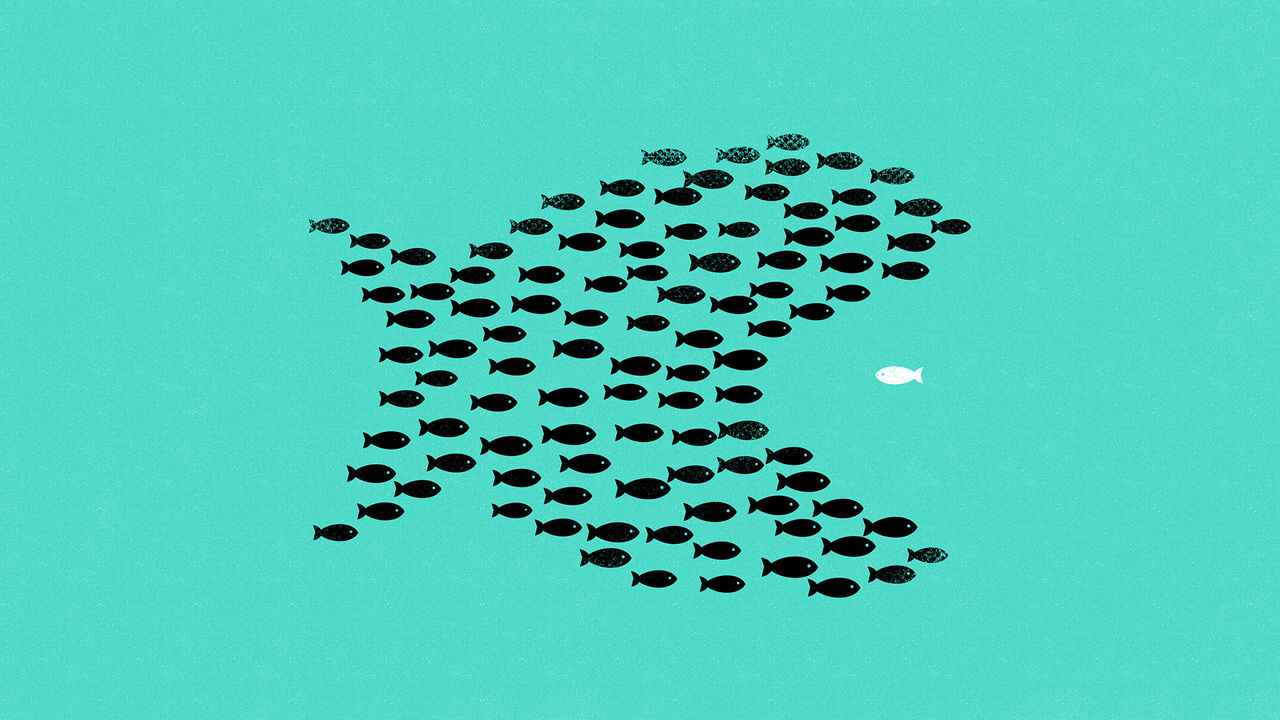 Why your portfolio is less diverse than you might think