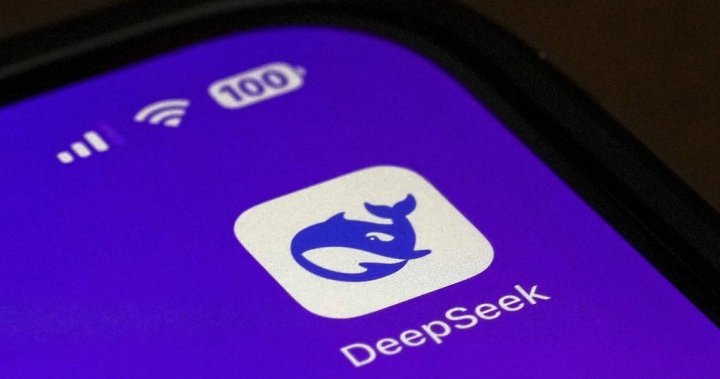 Deepseek forbade some Canadian government equipment about privacy fears
