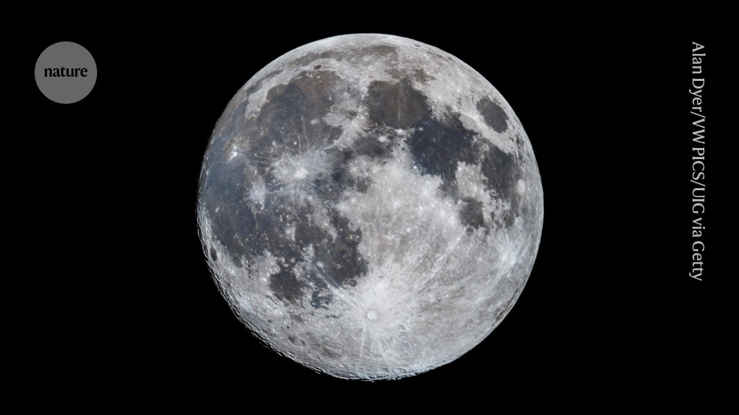 Meet LED hunting robots immediately headed for the moon