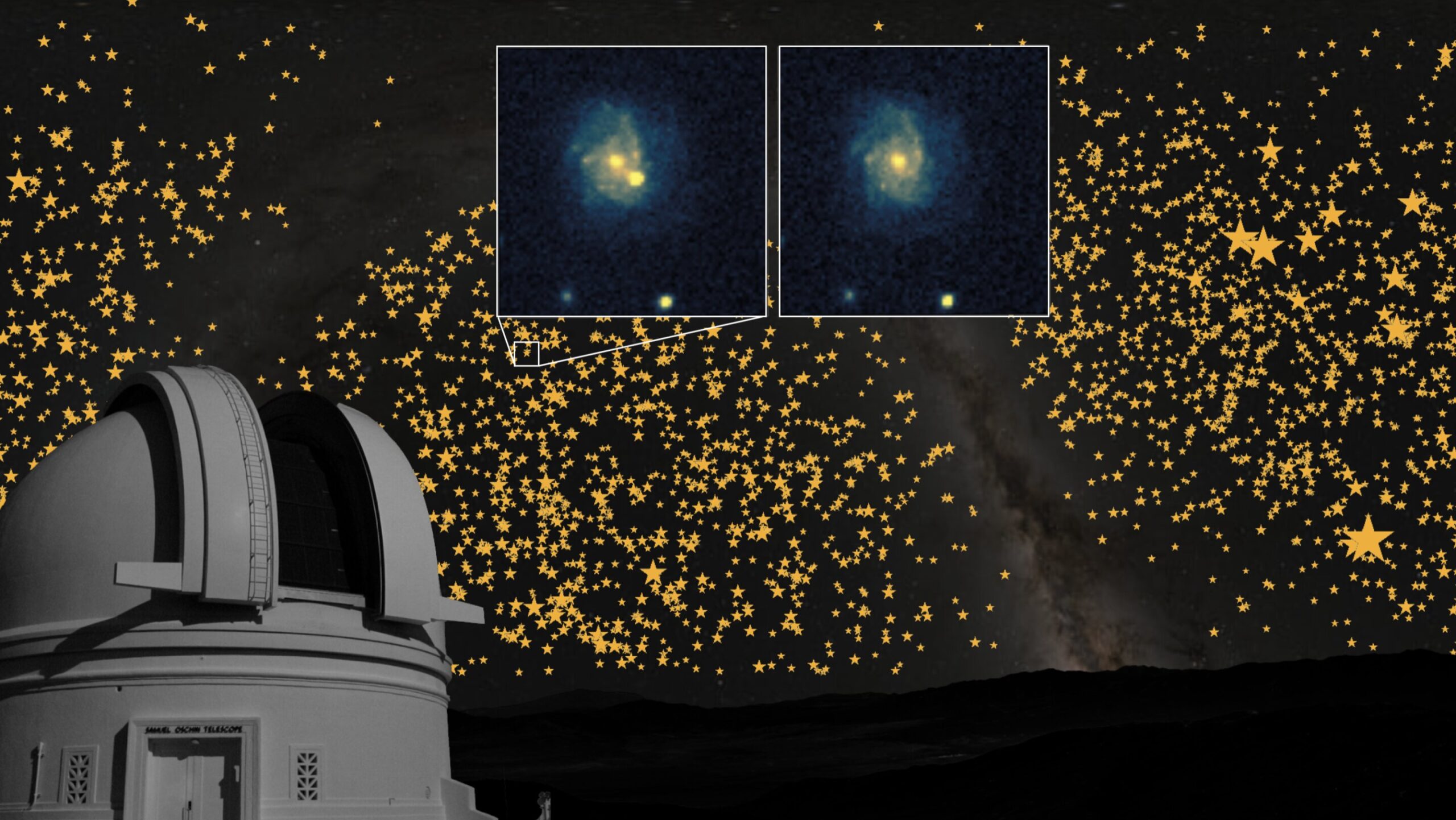 From collision to star cannibalism – a surprising variety of white dwarf exploding
