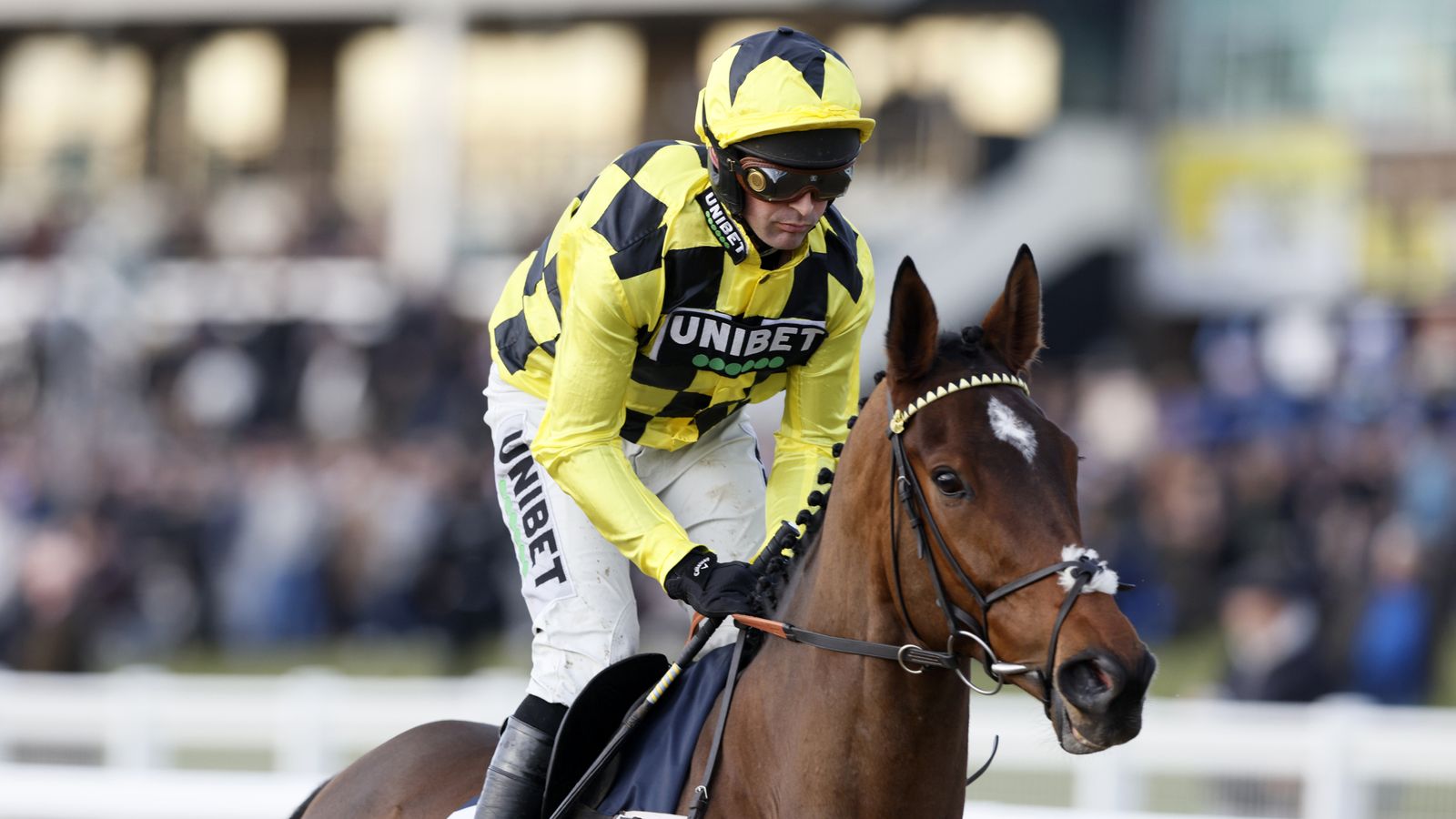 Sir Gino: Nicky Henderson’s Arkle Favorite to Miss Game Spirit Run | Racing news