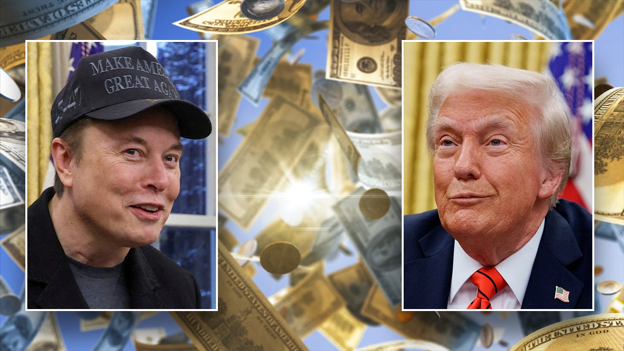 Trump floating to return 20% of DOGE savings to the American people