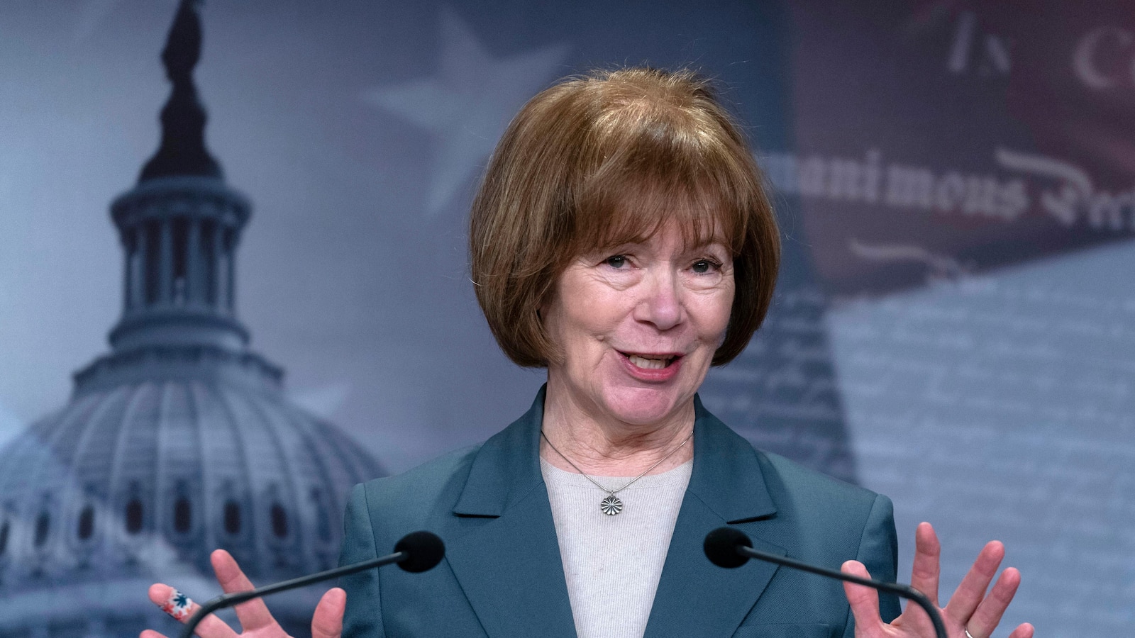 Senator Tina Smith from Minnesota will not seek re -election, who will pop in the hope of Democrats to take the Senate