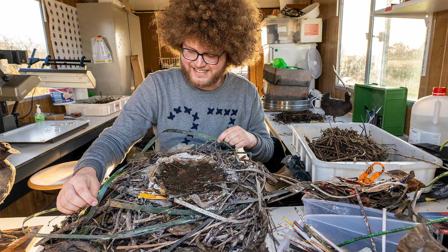 Plastic ‘fossils’ to help scientists reconstruct the history of bird nests