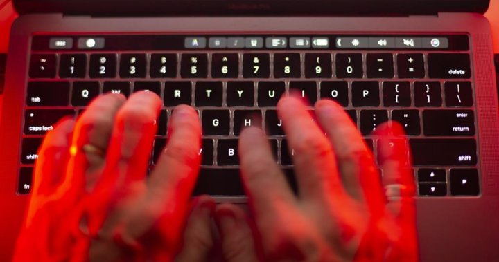 China, Russia ‘very likely’ to use AI to try to disturb the next elections: CSE – National