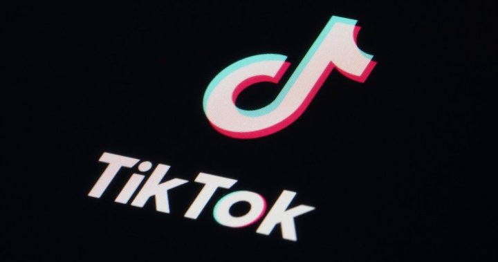 Tiktok Deal To keep it in us will come to the April deadline, says Vance – National