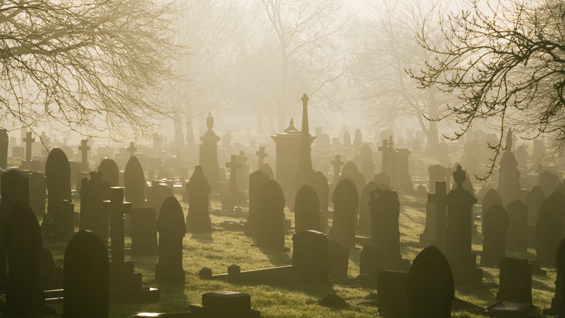 This is why "worries" investors outweigh the living