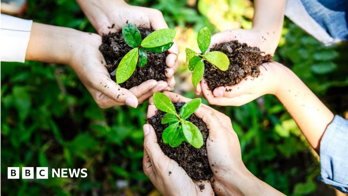 What is the Earth Day, when is it and what has it achieved?