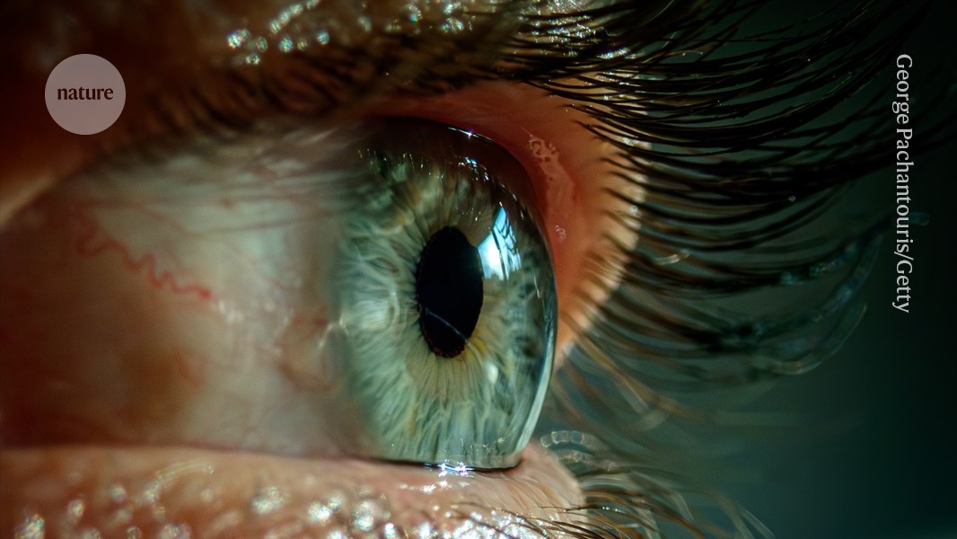 A brand new color created by steering human eyes laser