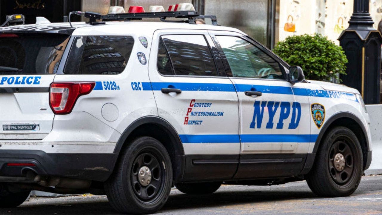 New York’s proposal would forbid the police to stop traffic for small violations to pursue ‘racial equity’