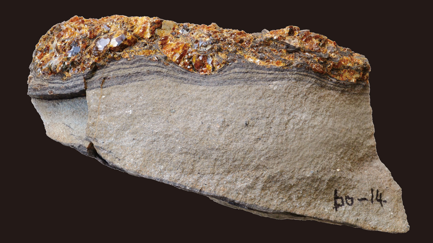 Seafloor amber may hold hints of a tsunami 115 million years ago