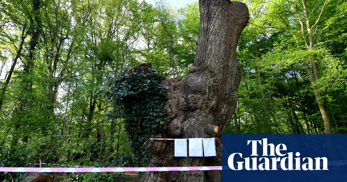 The chairman of the council accepted Spurs Tickets days before the old oak | London