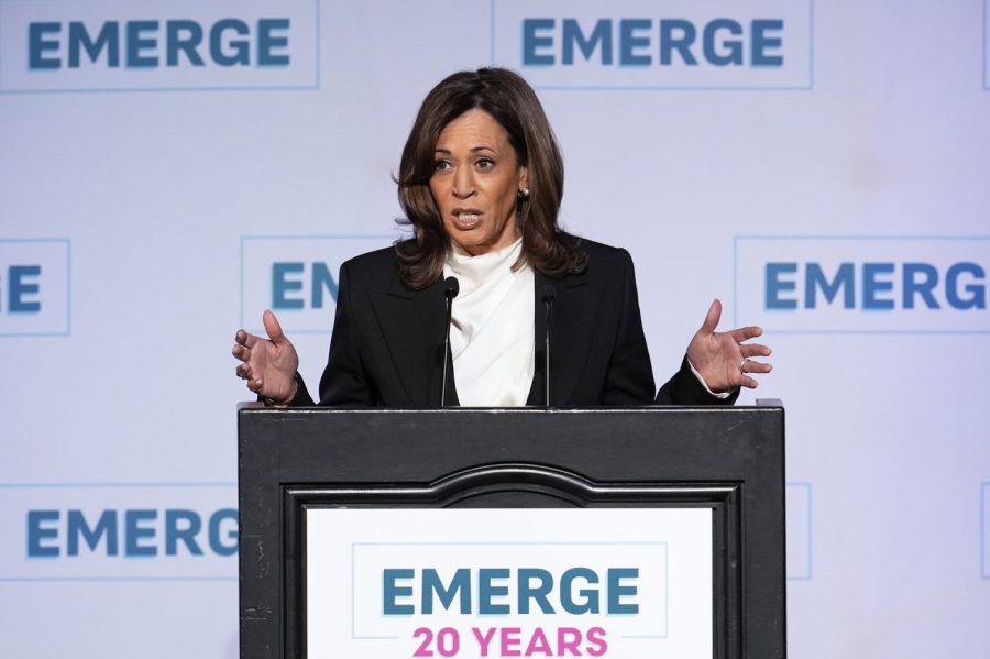 Harris accuses Trump administration of ‘wholesale abandoned’ of ‘America’s highest ideals’