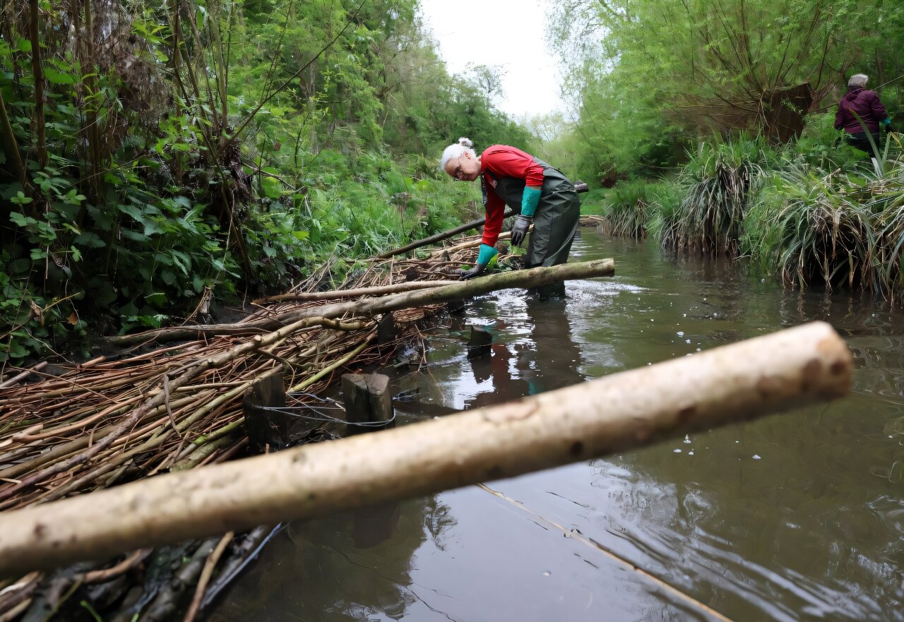 Cities in the UK exploit nature to combat growing flood risk