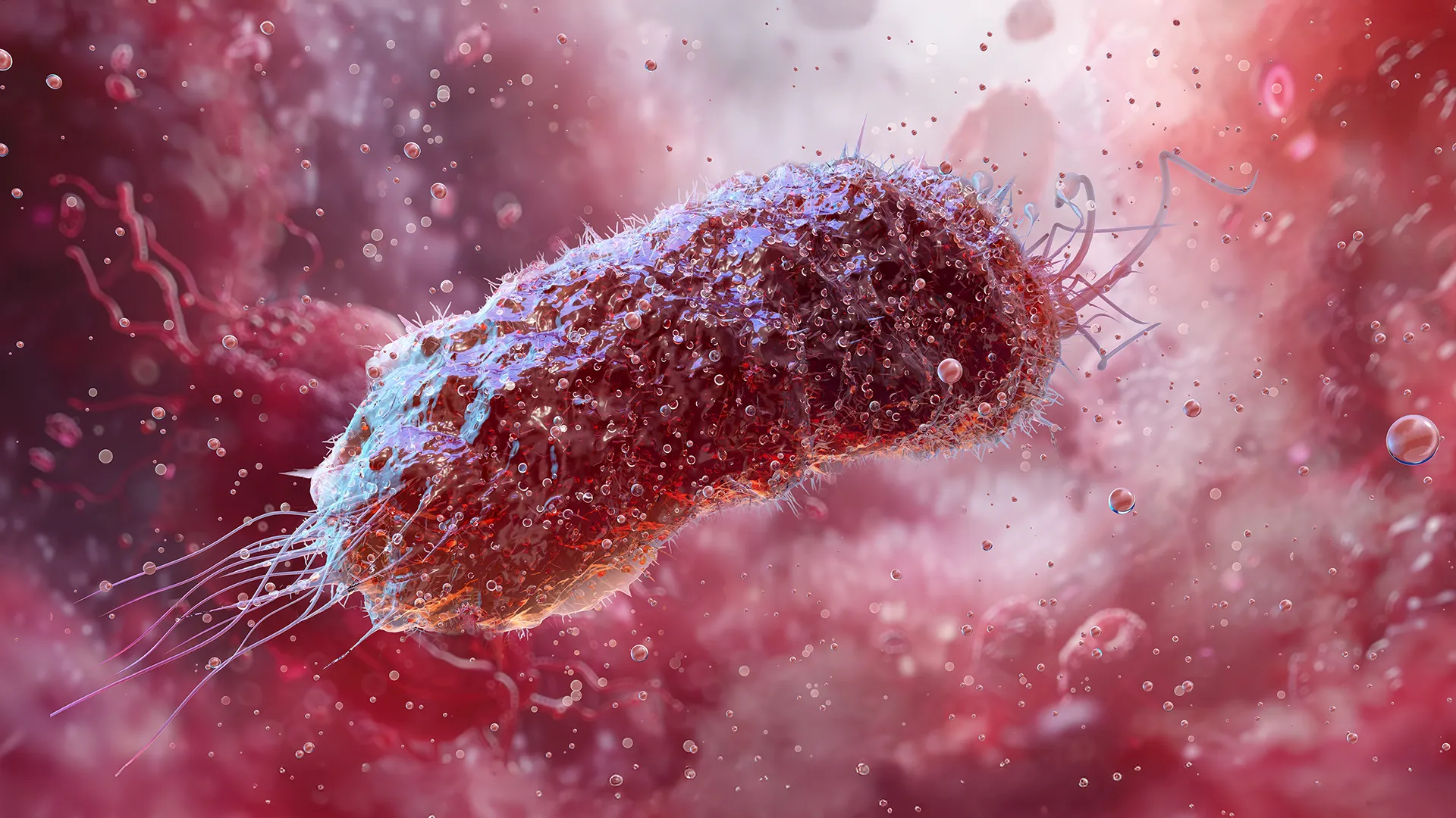As usual antibiotics stimulate bacterial resistance