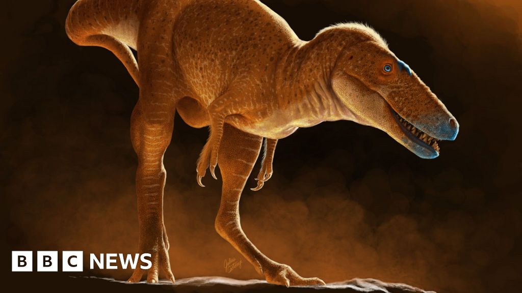 Dinosaur dinosaur dinosaur dinosaur 'rewrite' t.rex family tree