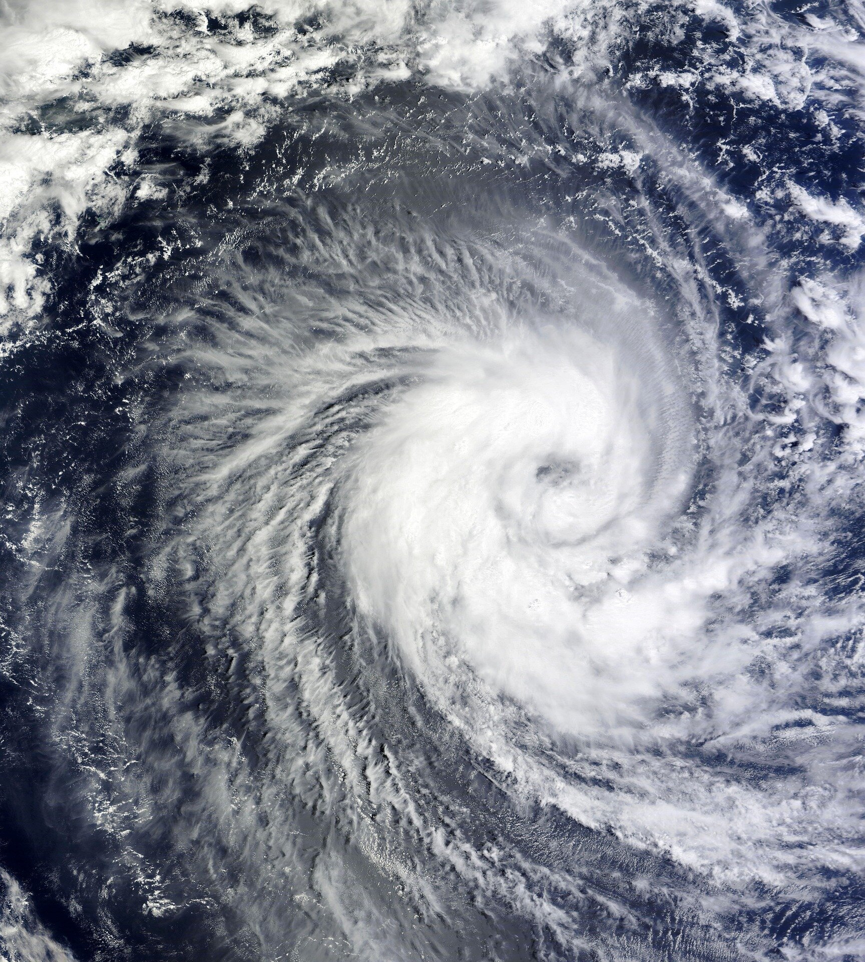 Hurricanes mix the deep layers of the ocean, bringing nutrients and low oxygen zones to the surface, study the findings