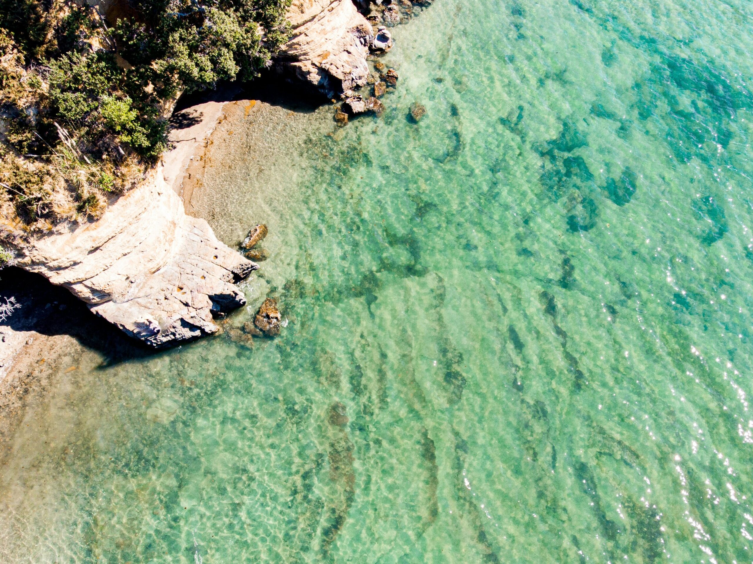 NZ has a huge marine territory but lags behind other nations in the protection of the ocean