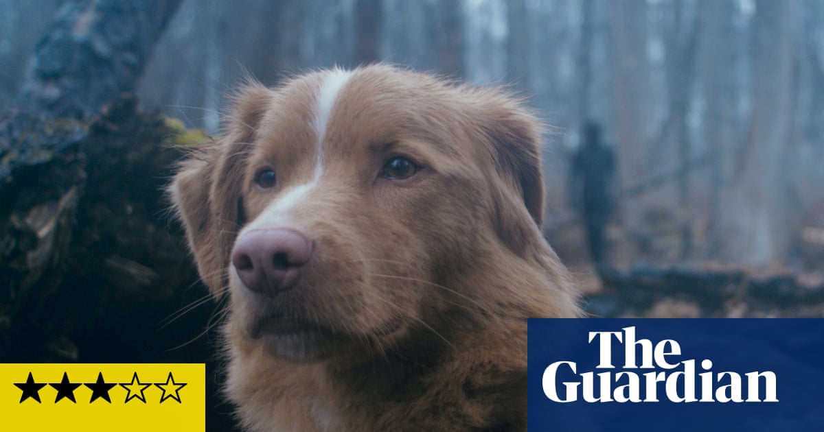 Good Boy Review - Crafty Supernatural Horror Leads with a heroic dog | Horror movies