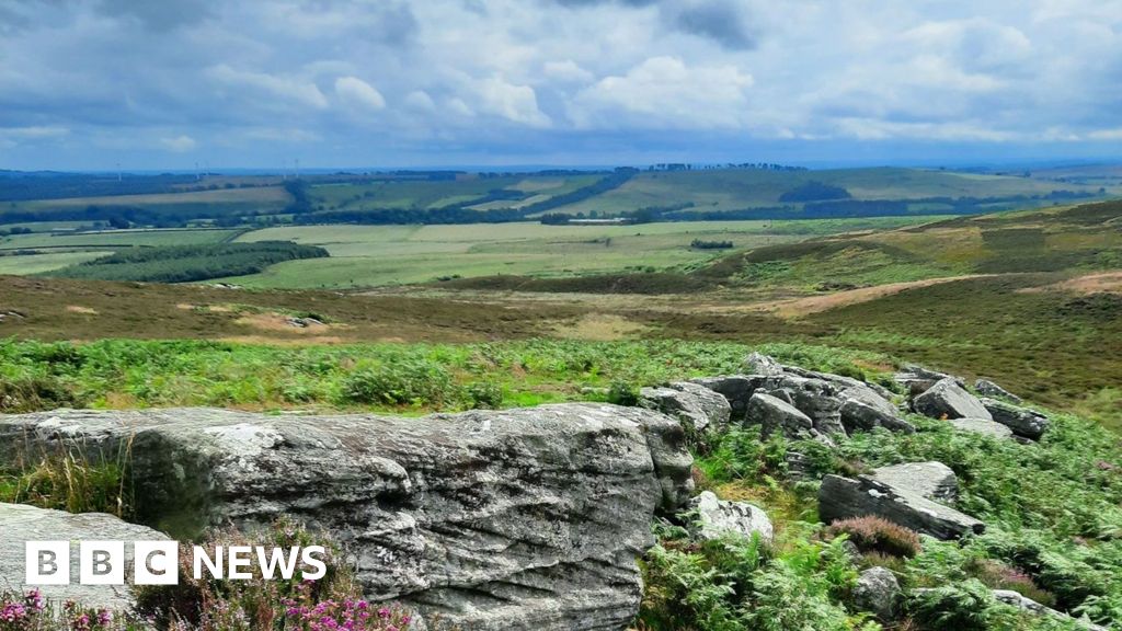 Sir David Attenborough backs bid to buy Rothbury estate