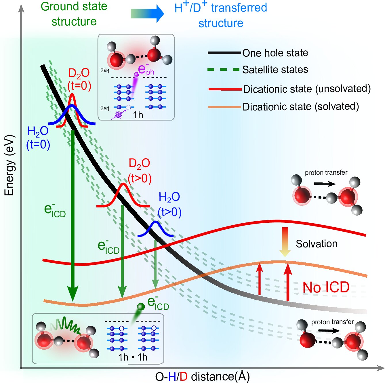The generation of harmful slow electrons in water is a race between intermolecular energy decay and proton transfer