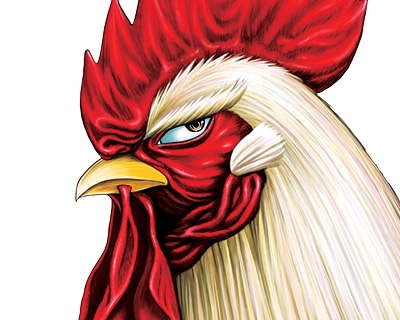 Patrick Seyz heads the English voice actor for the “rooster” anime for adult swimming