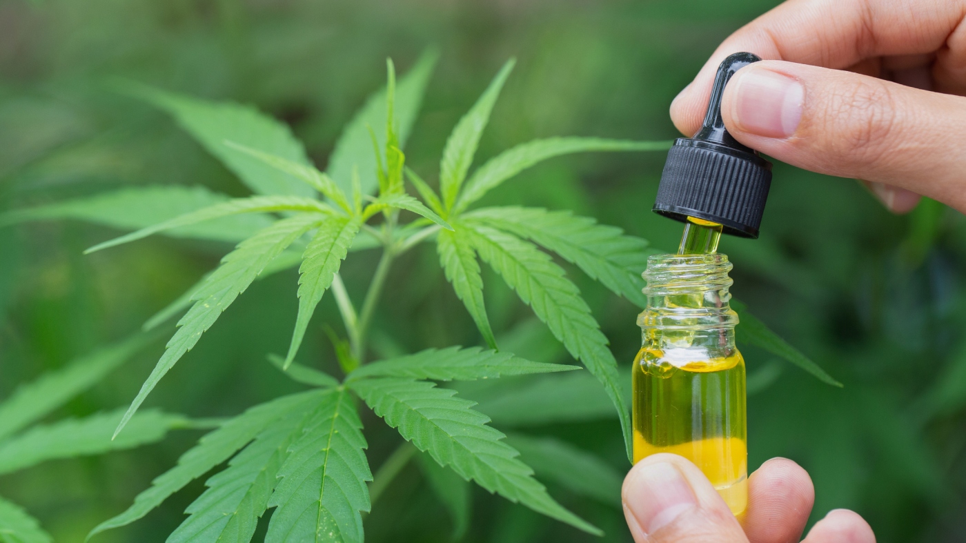 Cannabis works for back pain, in new studies: shots