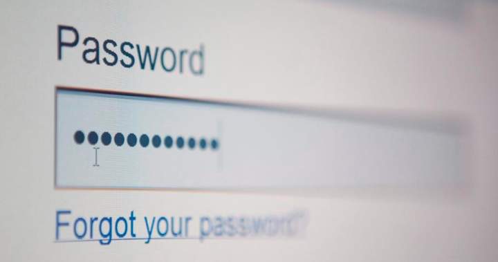 Is your password in the ‘most common’ list? You might be surprised – National