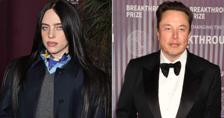 Billie Eilish calls out 'pathetic' Elon Musk for not donating a huge fortune - National